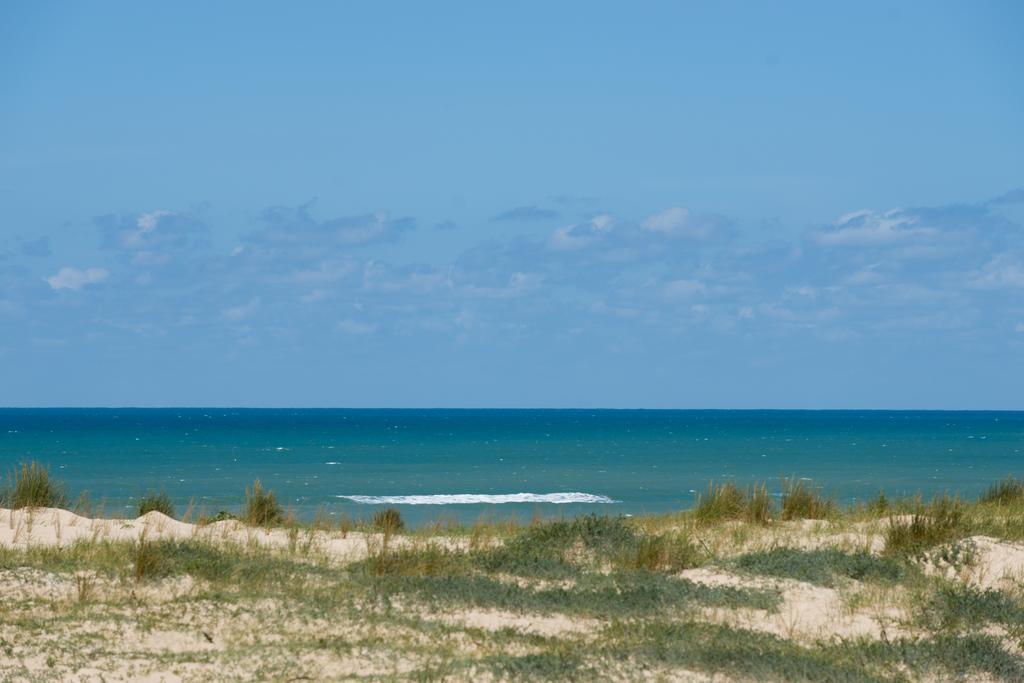 Lège-Cap-Ferret Ferret Vigne - Villa Chambres D'Hotes מראה חיצוני תמונה