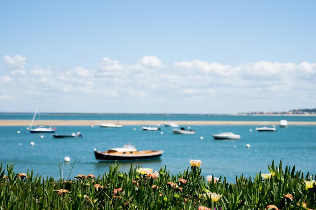 Lège-Cap-Ferret Ferret Vigne - Villa Chambres D'Hotes מראה חיצוני תמונה